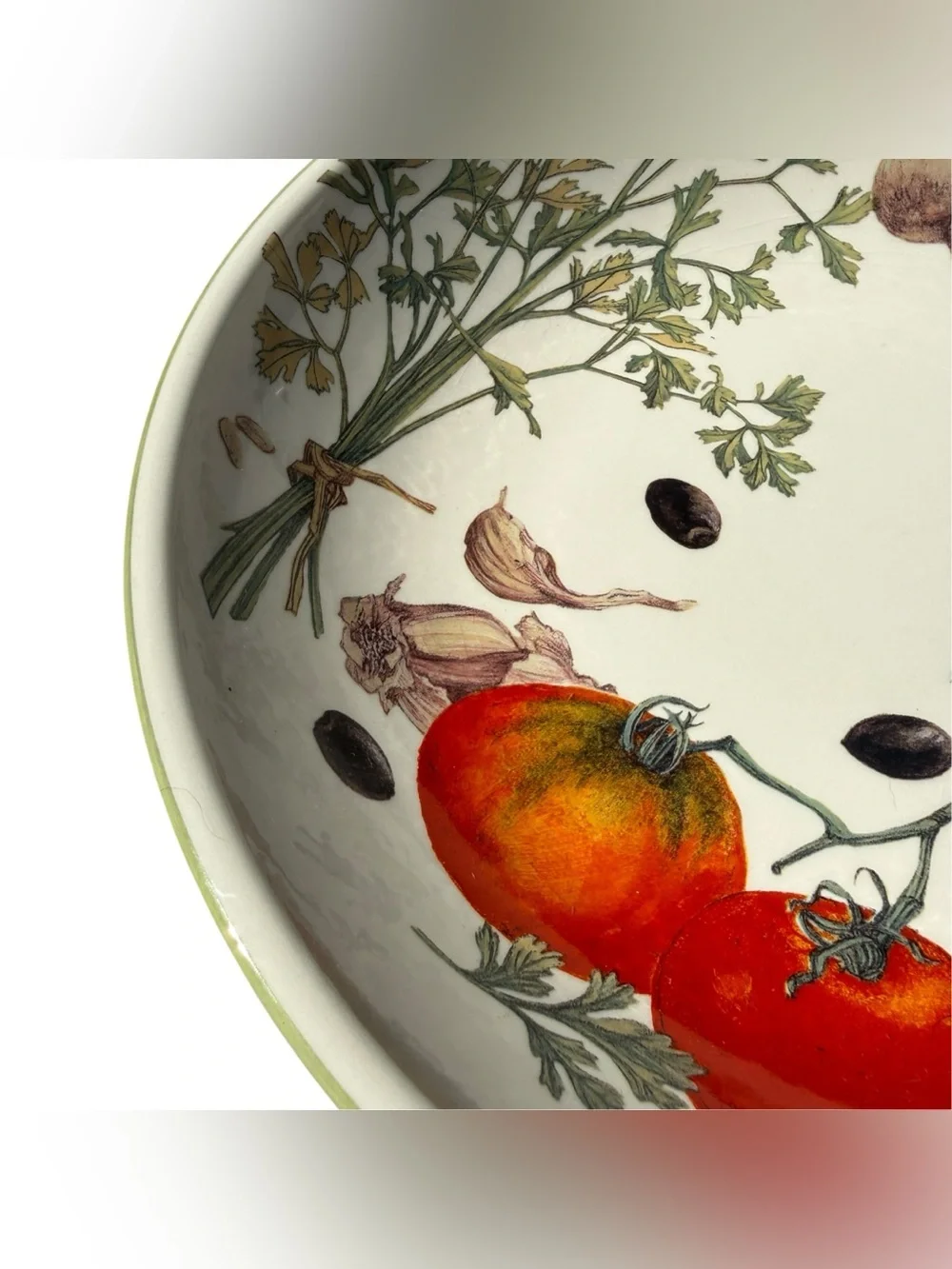 Williams Sonoma Vegetable Herbs 13” Pasta Serving Bowl Portugal Rare European